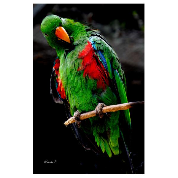 PHOTO84, CLUB, 84 , LUBERON